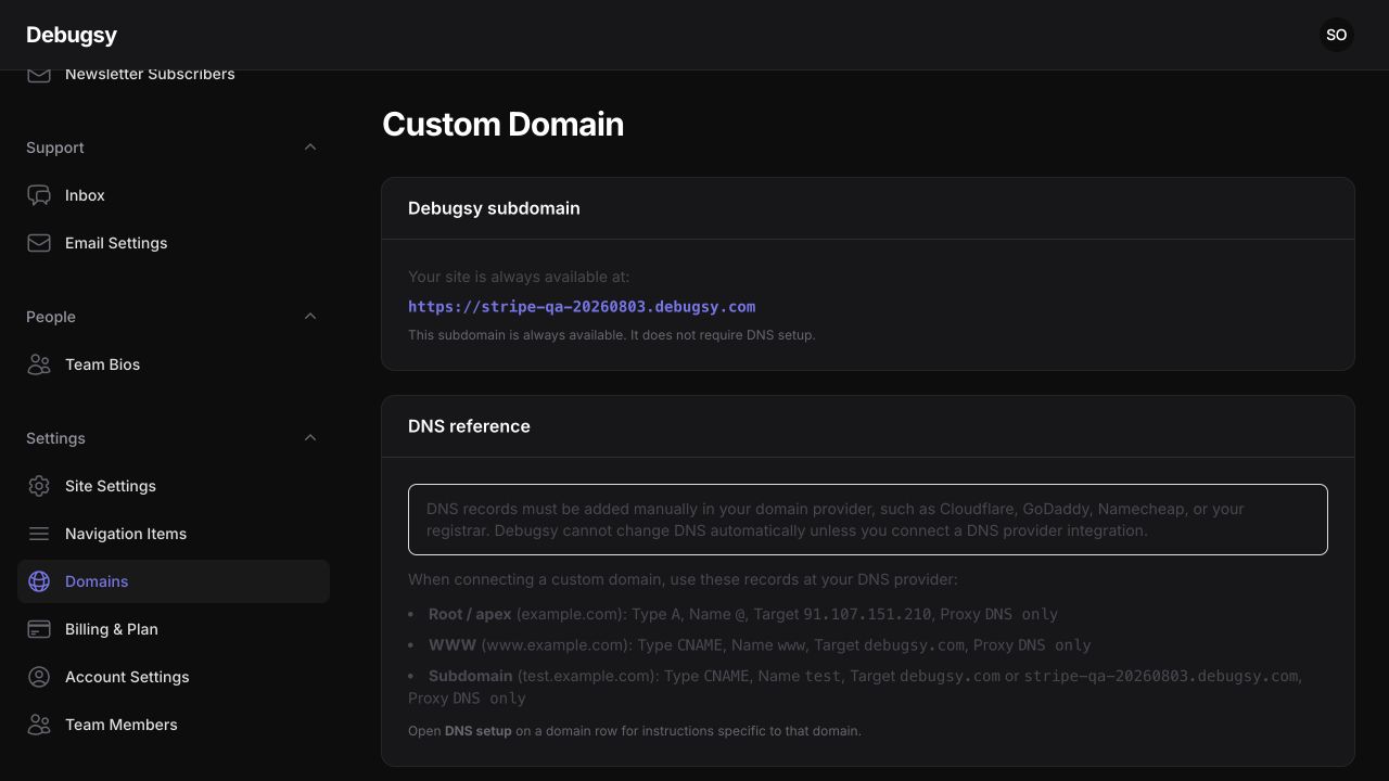 Real Debugsy Custom Domain page showing the Debugsy subdomain and DNS reference